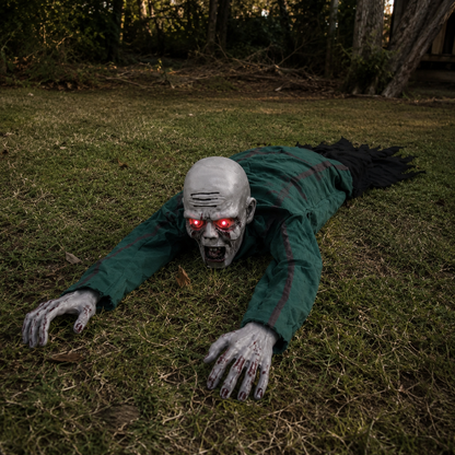 Crawly zombie
